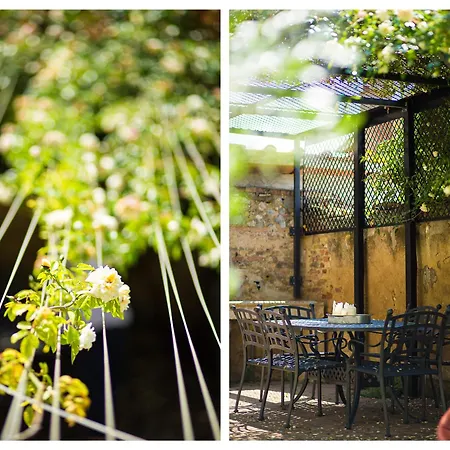 דירה The Tower's Garden